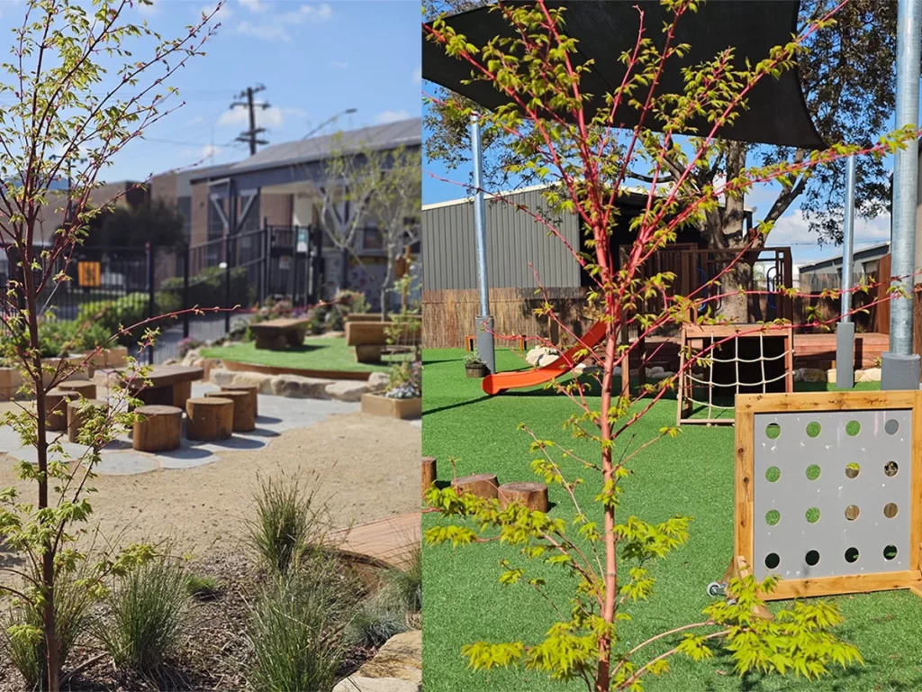 Growing Minds Location4